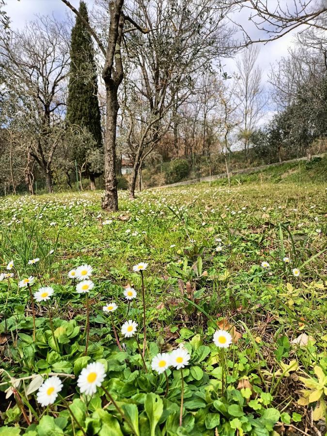Locazione Turistica La Gesualda Appartement Castelnuovo Magra Buitenkant foto