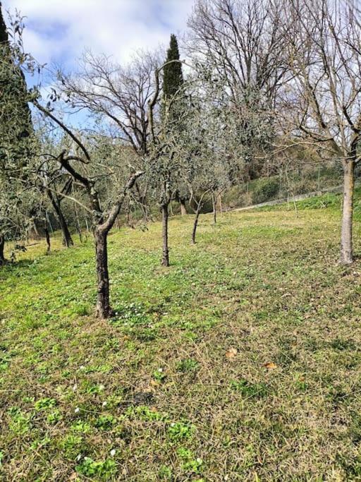 Locazione Turistica La Gesualda Appartement Castelnuovo Magra Buitenkant foto