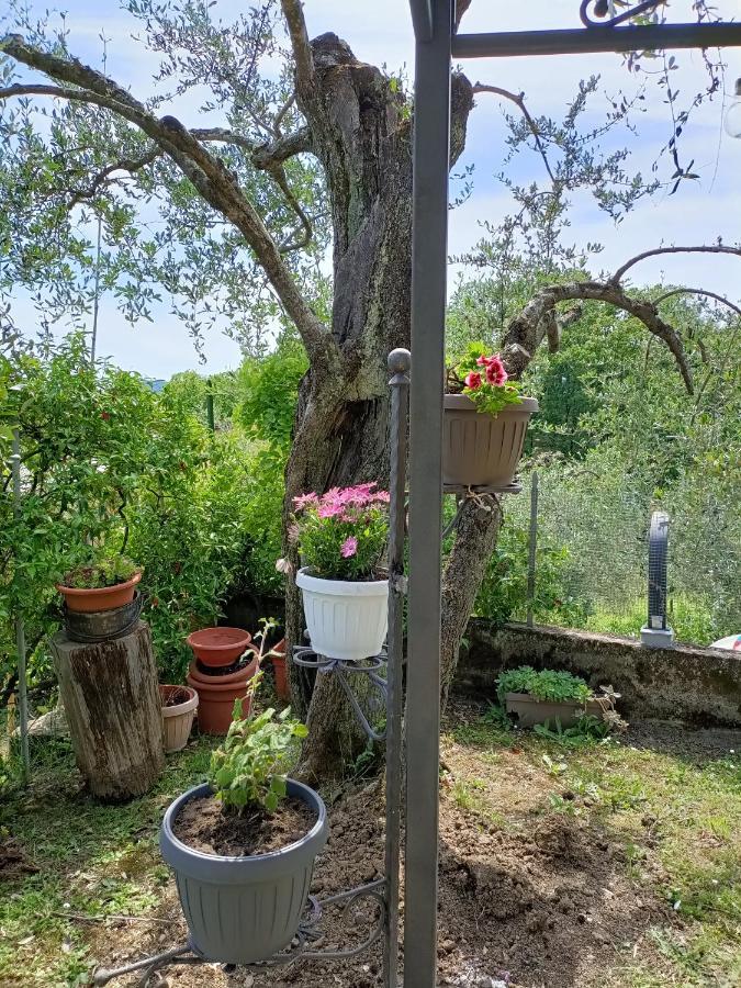 Locazione Turistica La Gesualda Appartement Castelnuovo Magra Buitenkant foto
