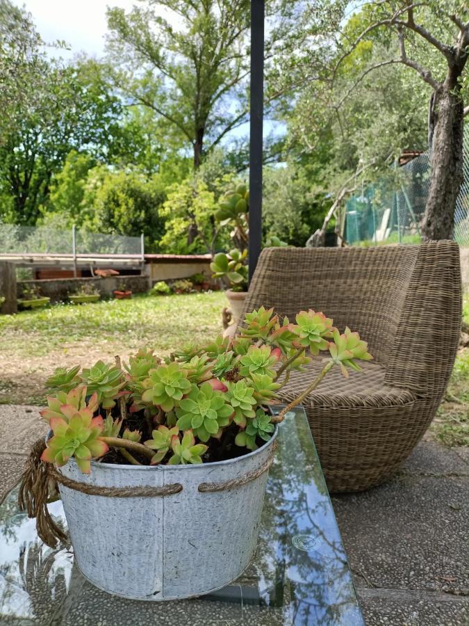 Locazione Turistica La Gesualda Appartement Castelnuovo Magra Buitenkant foto