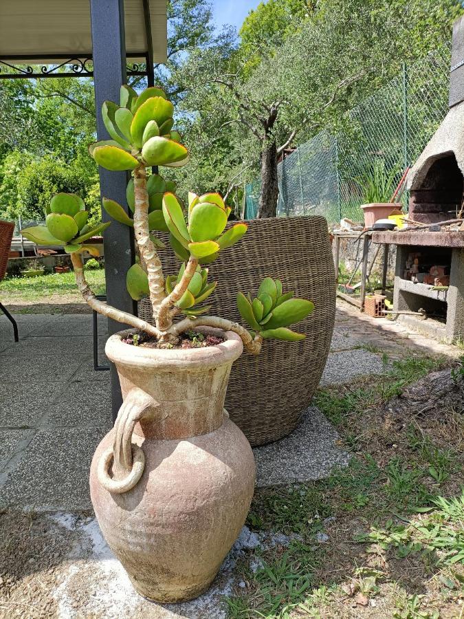 Locazione Turistica La Gesualda Appartement Castelnuovo Magra Buitenkant foto
